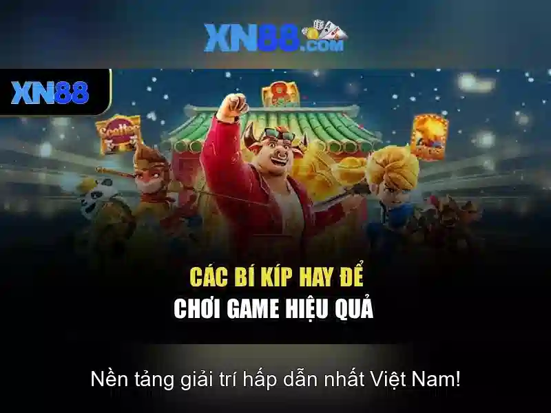 Tổng quan về xn88