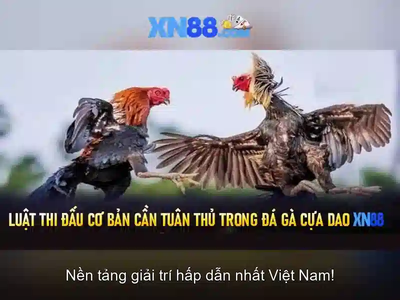 xn88: Nền tảng cá cược trực tuyến phổ biến