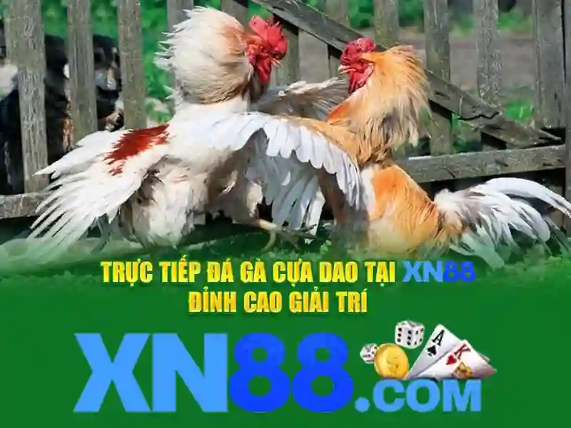 Nguồn gốc và sứ mệnh của xn88 slot